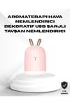 YZLAL Ultrasonik Hava Nemlendirici 200 ml Aroma Difüzör LED (113650) Işıklı Sessiz