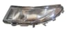 261659450r-renault-dis-dikiz-ayna-siny-2de0b3.jpg