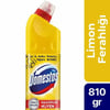 DOMESTOS LİMON FERAHLIĞI 810GR