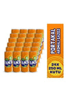 FANTA TENEKE 250 ML*24
