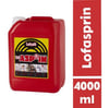 LOFÇALI ASPRİN 4LT