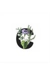 Harf Figürlü Kaktüs Sukulent Saksısı