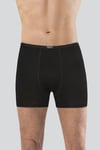 anit-1273-bambu-boxer-6ea21d.png