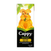 cappy-kayisi-suyu-200-ml-61-bd2.jpg