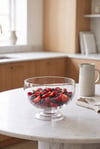 pasabahce-betty-kase-19-cm-e91-ec.jpg
