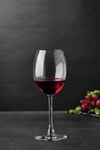pasabahce-enoteca-sarap-kadehi-440-cc-cabdb4.jpg