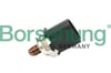 BORSEHUNG B11868 Rail Müşürü 04C906054C uygun fiyat hızlı kargo