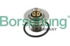 BORSEHUNG B13141 Termostat 026121119 uygun fiyat hızlı kargo