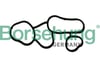 BORSEHUNG B10621 Yağ Filtre Gövde Contası 06D117070 uygun fiyat hızlı kargo