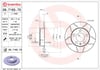 BREMBO 08716575 Fren Diski 1J0615601 uygun fiyat hızlı kargo