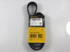 CONTINENTAL 6PK1033ELAST V Kayışı AM5Q6C301EA uygun fiyat hızlı kargo