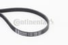 CONTINENTAL 4PK1538 V Kayışı 1172000Q2C uygun fiyat hızlı kargo