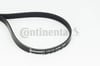 CONTINENTAL 5PK1121EXTRA V Kayışı 30616942 uygun fiyat hızlı kargo