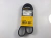 CONTINENTAL 6PK1045 V Kayışı 06F260849E uygun fiyat hızlı kargo