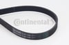 CONTINENTAL 6PK1180 V Kayışı 038903137L uygun fiyat hızlı kargo