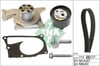 INA 530 0607 30 Triger Seti 119A07049R uygun fiyat hızlı kargo