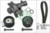 INA 530 0471 30 Triger Seti 0816A1 uygun fiyat hızlı kargo