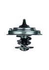 MAHLE TX 30 87D Termostat 077121113 uygun fiyat hızlı kargo