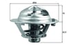 MAHLE TX 166 85D Termostat 255002A000 uygun fiyat hızlı kargo