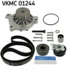 SKF VKMC 01244 Triger Seti 076198119 uygun fiyat hızlı kargo