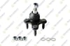 TEKNOROT V 555K Rotil 1K0407366B uygun fiyat hızlı kargo