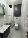 lüx wc yenileme