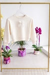 Little kız çocuk sweat/ yeşil-krem