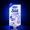 DOST SÜT 1 LT