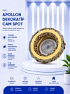 NOAS APOLLON DEKORATİF CAM SPOT