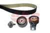 EKSANTRIK RULMAN KITI ( TRIGER SETI ) PEUGEOT 2008 I 1.6 BlueHDi 3008 II SUV 500