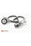 ERP ALTERNATOR KAYIS KITI PEUGEOT P208 P2008