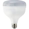 25W KRİSTAL TORCH LED AMPUL (E-27)(BEYAZ)