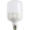 25W TORCH LED AMPUL (E-27) (BEYAZ)