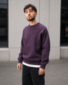 REGLAN KOL BOXYFİT BİSİKLET YAKA SWEATSHİRT MÜRDÜM