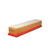 Filtron AP134/6 Hava Filtresi