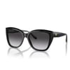 EMPORIO ARMANI 4198 59178G 55-17-140