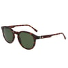 LACOSTE 6030SN 214  50-21-145