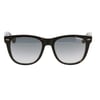 OSSE 3175 02 
