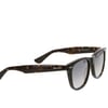 OSSE 3175 02 