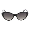 OSSE 3641 01
