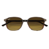 RAY-BAN 2193 138085 53-18-145