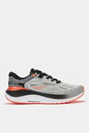 FENIX 2412 GREY