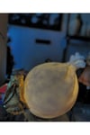 Abajur masa lambası