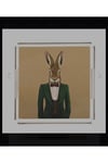 Mr. Rabbit Pleksi Tepsi