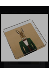 Mr. Rabbit Pleksi Tepsi