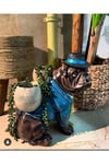 Şapkalı Bulldog Saksı