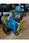Şapkalı Bulldog Saksı
