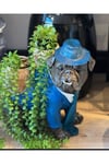 Şapkalı Bulldog Saksı