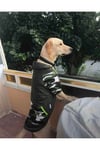 Büyük Irk Askeri Köpek Sweati -köpek Kiyafeti