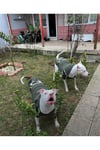 Büyük Irk Askeri Köpek Sweati -köpek Kiyafeti